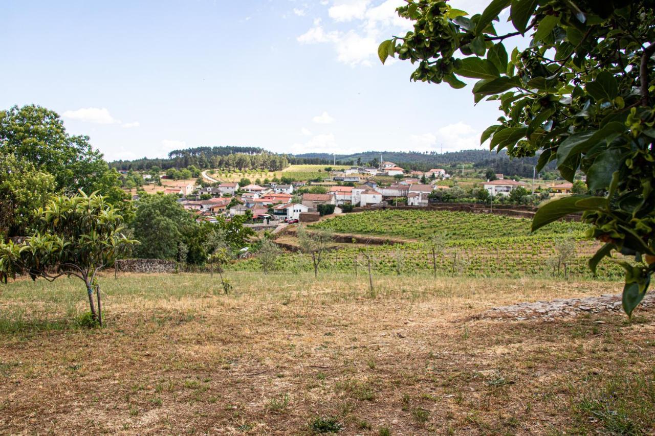 Quinta Da Eira Douro Valley Fermentoes  Bagian luar foto