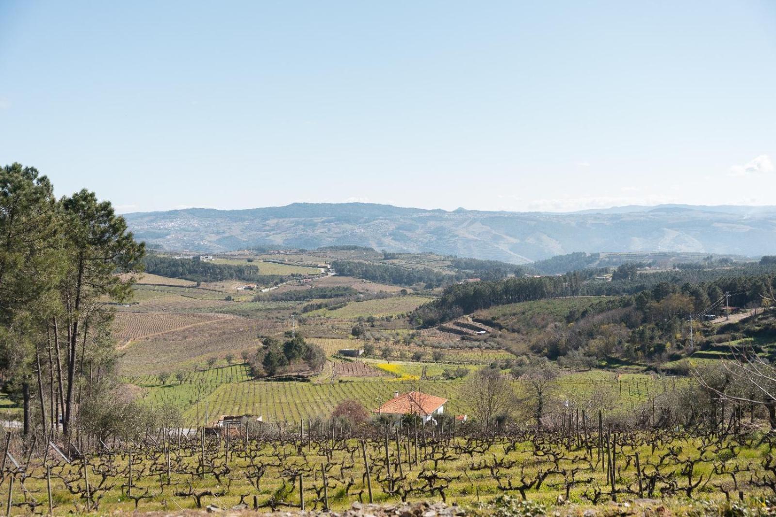 Quinta Da Eira Douro Valley Fermentoes  Bagian luar foto